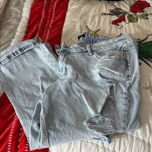 Edge Light Blue Cropped Jeans with Distressed Details